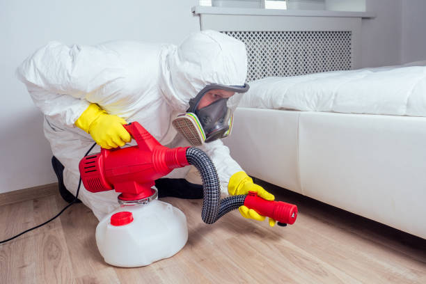 Emergency Pest Control Services in Maryland Heights, MO